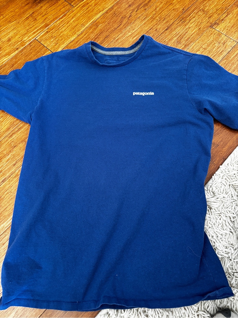 Patagonia Men's Crew Neck T-Shirt - heavyweight